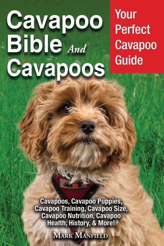 Cavapoo Bible And Cavapoos Your Perfect Cavapoo Guide Cavapoos, Cavapoo Puppies, Cavapoo Training, Cavapoo Size, Cavapoo Nutrition, Cavapoo Health, History, & More! — Mark Manfield